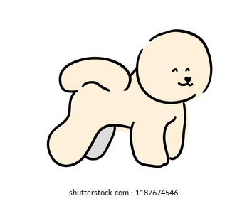 Illustration for children. Lovely white fluffy doggy breed Bichon Frise. Decorative breeds of dogs.