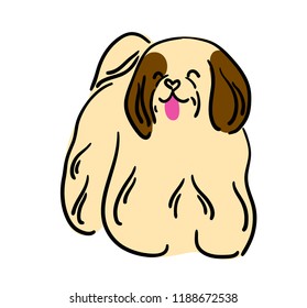 Illustration for children. Sweet dog of Shih Tzu breed. Decorative dog breed.