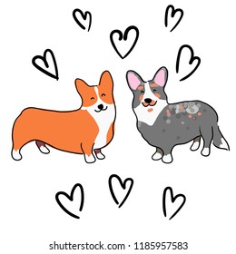 Illustration for children. Illustration for Valentine's day. Lovely furry doggies of welsh corgi. Decorative breeds of dogs. Two loving dogs on a background of black hearts.