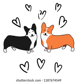 Illustration for children. Illustration for Valentine's day. Lovely furry doggies of welsh corgi. Decorative breeds of dogs. Two loving dogs on a background of black hearts.