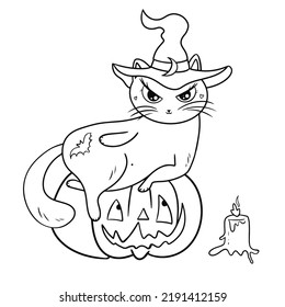 Illustration Childrens Coloring Witch Cat Hat Stock Vector (Royalty