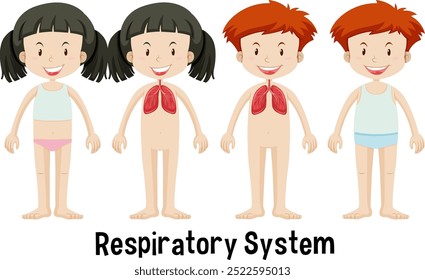 Illustration of children's respiratory system anatomy