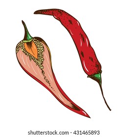 Illustration of chili pepper
