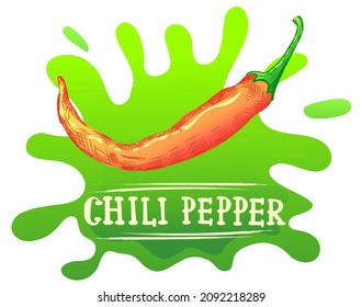 illustration of chili pepper in bright colors, inscription or lettering with words chili pepper. Illustration for advertising, packaging or publishing recipes. Culinary illustration of vegetables