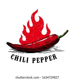 Illustration of chili pepper in engraving style. Design element for logo, label, sign, emblem, poster. Vector illustration