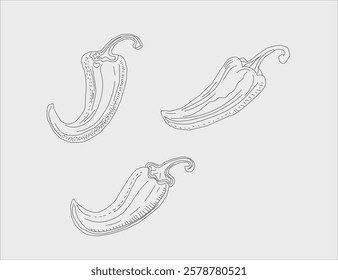 illustration of a chili pepper.  chili pattern Background. vintage chili background. pepper pattern background. chili doodle pattern background.