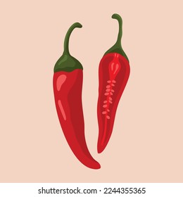 Illustration of chili vegetable ingredients and chili slices. Close-up image of fresh red chilies