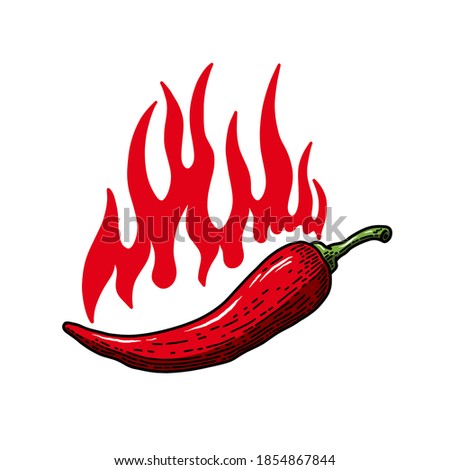 illustration of chilli peppers with flame of fire in engraving style. Design element for emblem, sign, poster, card, banner, flyer. Vector illustration
