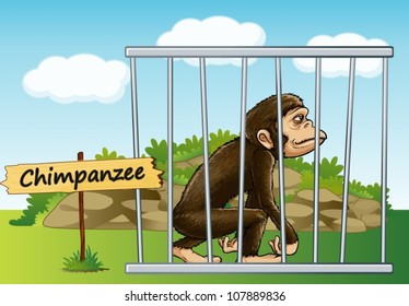 illustration of a chimpanzee in cage and wooden board