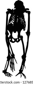 illustration with chimpanzee skeleton silhouette isolated on white background