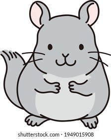 Illustration eines Chinchilla gegenüber der Vorderseite