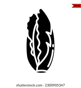 illustration of Chinese cabbage glyph icon 