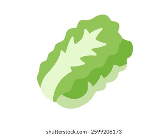 Illustration of Chinese cabbage icon.