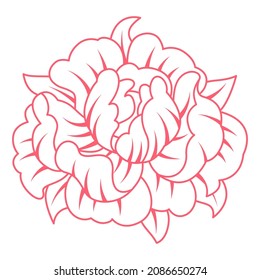 Illustration of Chinese peony. Asian tradition symbol.