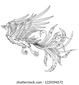 Illustration of the Chinese phoenix