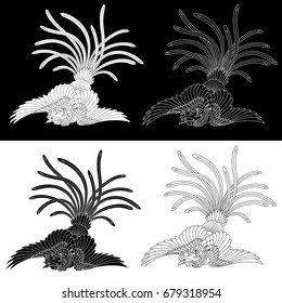 Illustration of the Chinese phoenix