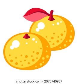 Illustration of Chinese two tangerines. Asian tradition New Year symbol.