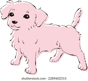 Illustration of Chiwax (mixed dog of Chihuahua and Dachshund)