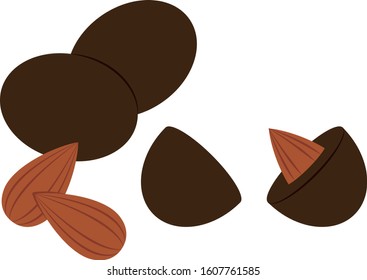 Illustration of chocolate covered almonds