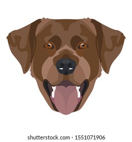 Illustration chocolate-colored Labrador retriever with smile
