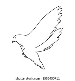 Illustration of a christmas dove.