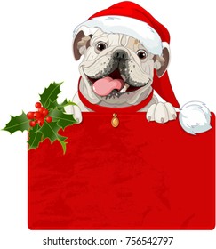 Illustration of Christmas English bulldog with red collar 