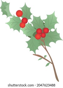 Illustration of Christmas holly twigs