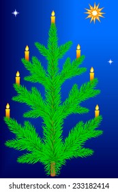 Illustration of the Christmas tree