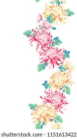 Illustration of the chrysanthemum,