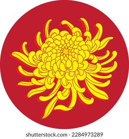 Illustration of Chrysanthemum flower on red circle background.