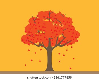 Illustration of chrysanthemum flowers lined up