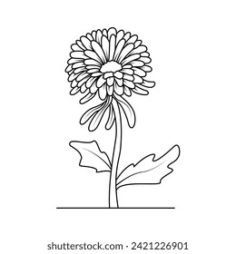 The Illustration of Chrysanthemums Flower