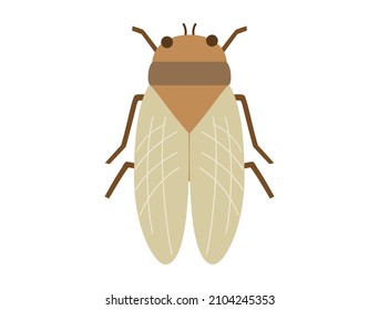 It Is An Illustration Of A Cicada.