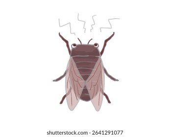 Illustration of a cicada crying loudly