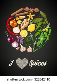 Illustration of circle of spices and herbs