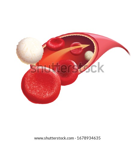 Illustration of circulating blood containing both red and white blood cells, vector.