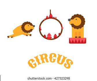 Illustration of circus lions . Circus show with lions . Leo, jumping through flaming hoop . Vector illustration