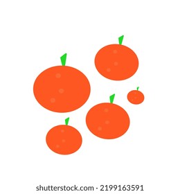 illustration of citrus fruit on a white background