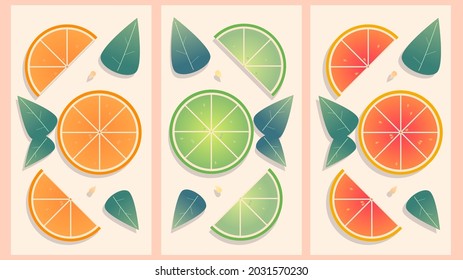 Illustration of citrus in section