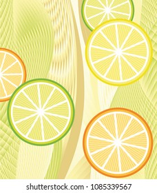 Illustration with citruses. Vector