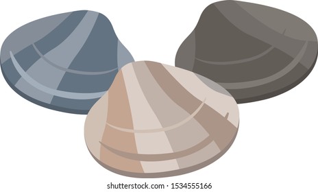 Illustration Of A Clam, Shellfish.