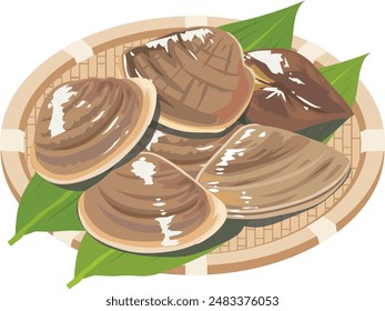 It is an illustration of clams

