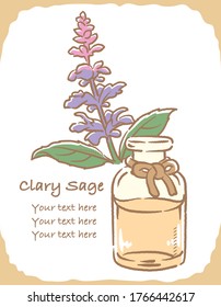 Illustration of clary sage and aromatherapy bottle. Vector illustration.