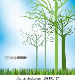 Illustration of clear sky, with clouds, trees and grass, vector illustration