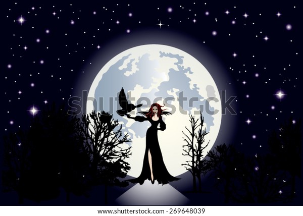 晴れ渡った星空と大きな月が背景に輝いているイラスト 前景に美しい女性に近づくと 黒い服を着て とても白い肌のコントラストが強い魔女 のベクター画像素材 ロイヤリティフリー