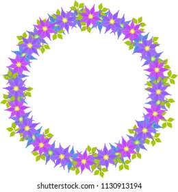 The illustration of clematis