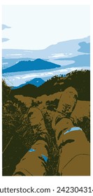 illustration of a climber exploring the forest