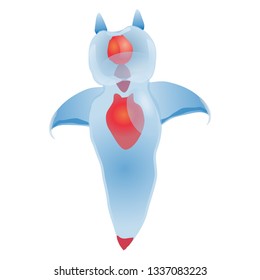 Illustration of the clione