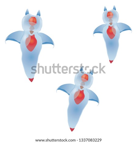 Illustration of the clione