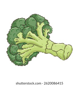 ilustración, Clipart, Elementos, Broccol, vegetal